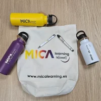 merchandasing mica learning